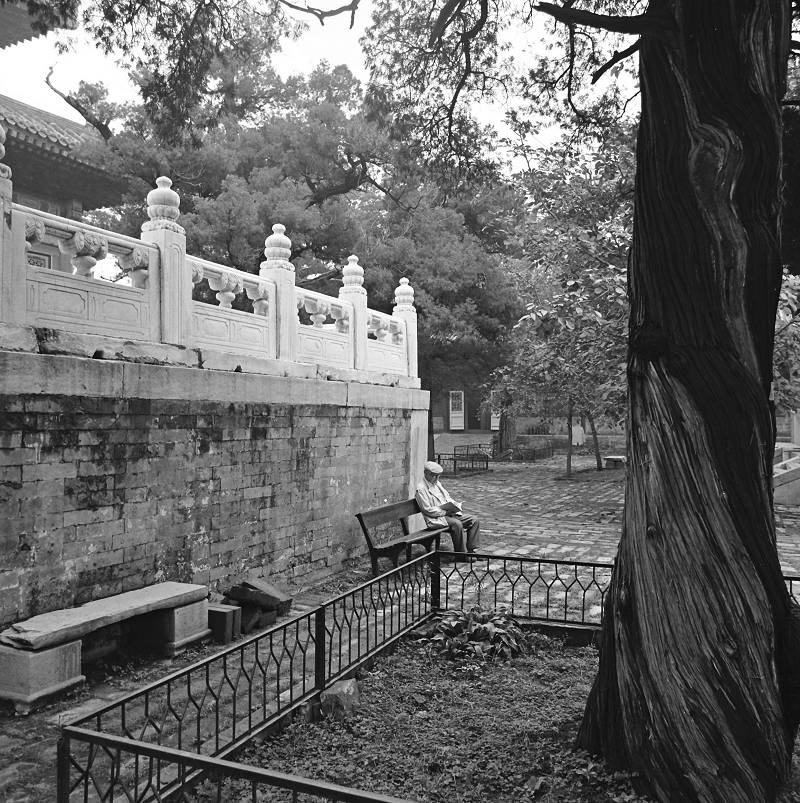 Kong Miao Confucius Temple - Artists